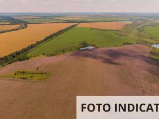 Terreno agricolo all'asta a mirandola via per concordi