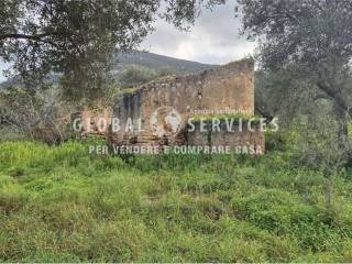 Terreno agricolo in vendita ad alghero loc guardia grande