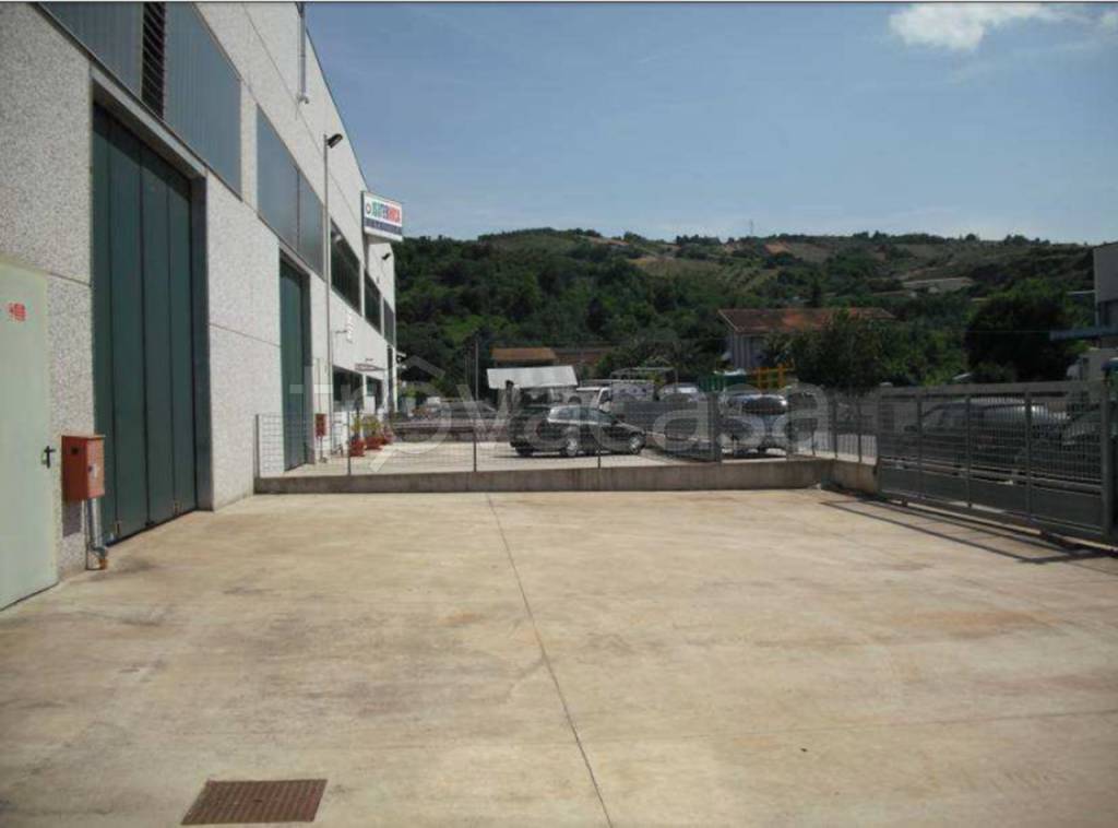 immagine annuncio 9 di 11