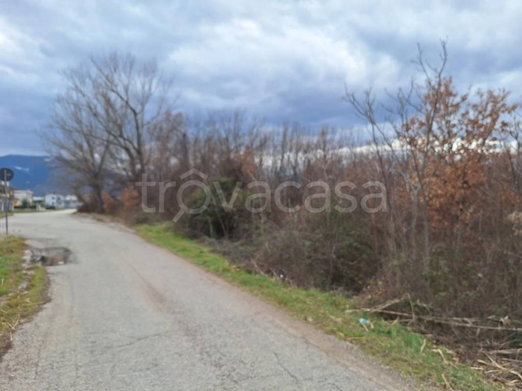 immagine annuncio 9 di 14