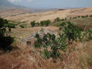 Terreno agricolo in vendita a montemaggiore belsito sp117