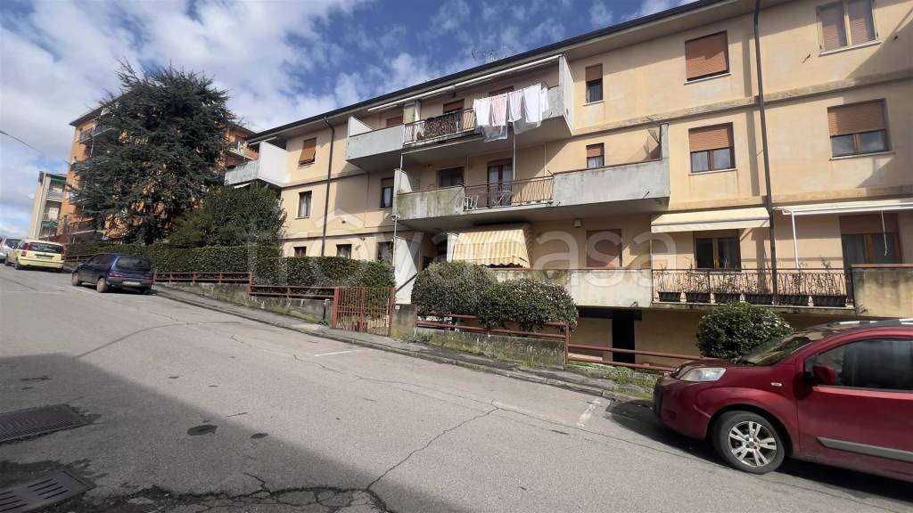 immagine annuncio 11 di 12