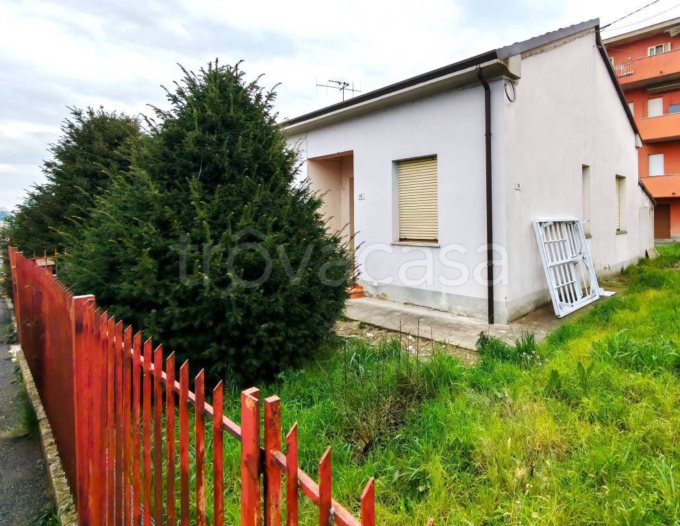 immagine annuncio 5 di 12