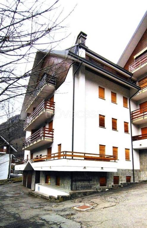 immagine annuncio 3 di 13