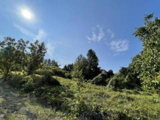 Terreno agricolo all'asta a torricella verzate frazione monteceresino, snc