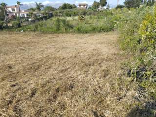 Terreno agricolo in vendita a partinico contrada arnao s.n.c