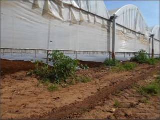 Terreno agricolo all'asta a latina prati di coppola