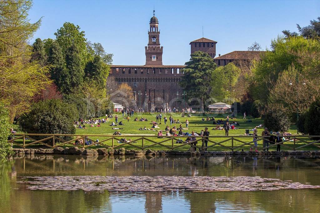 immagine annuncio 5 di 10