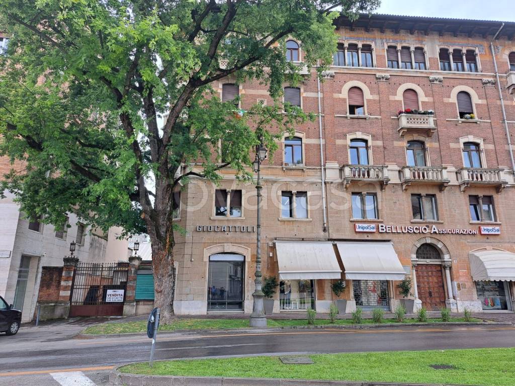 immagine annuncio 4 di 12
