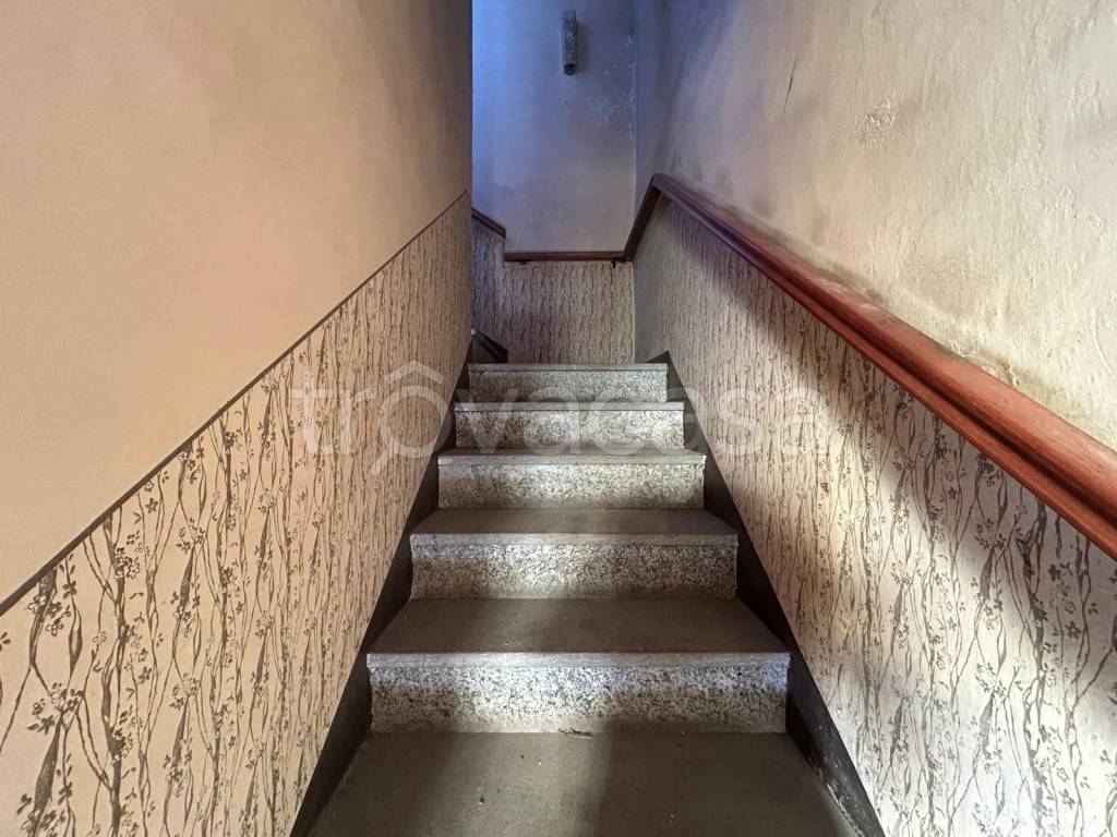 immagine annuncio 6 di 14