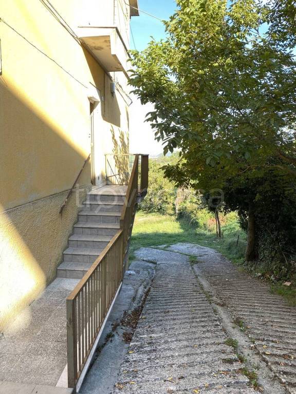 immagine annuncio 2 di 14