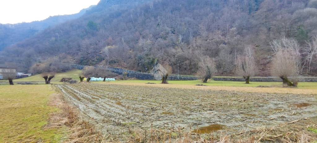 immagine annuncio 2 di 11