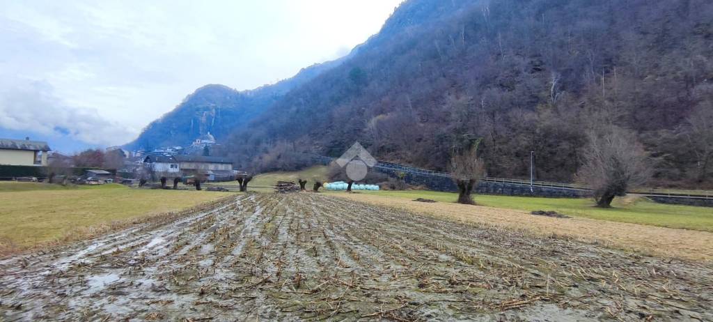 immagine annuncio 3 di 11