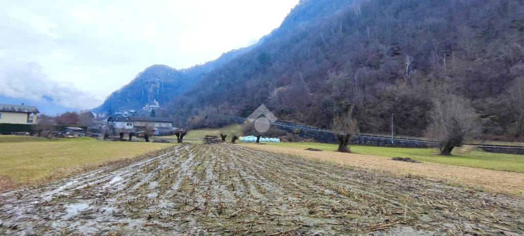 immagine annuncio 4 di 11