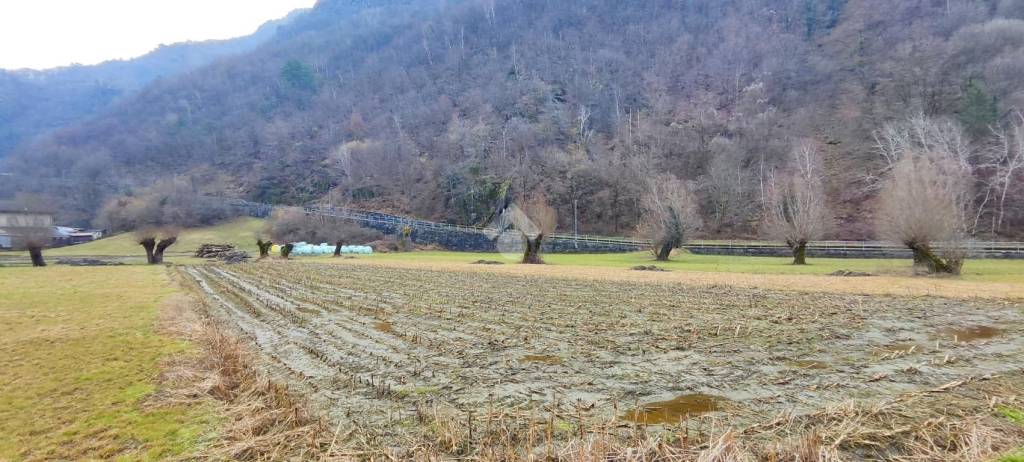 immagine annuncio 8 di 11