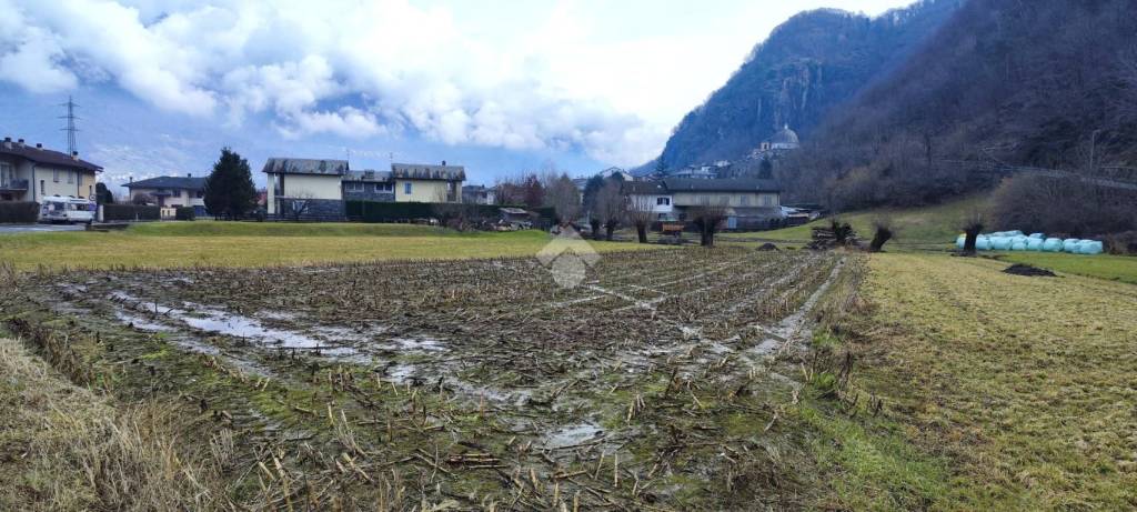 immagine annuncio 9 di 11