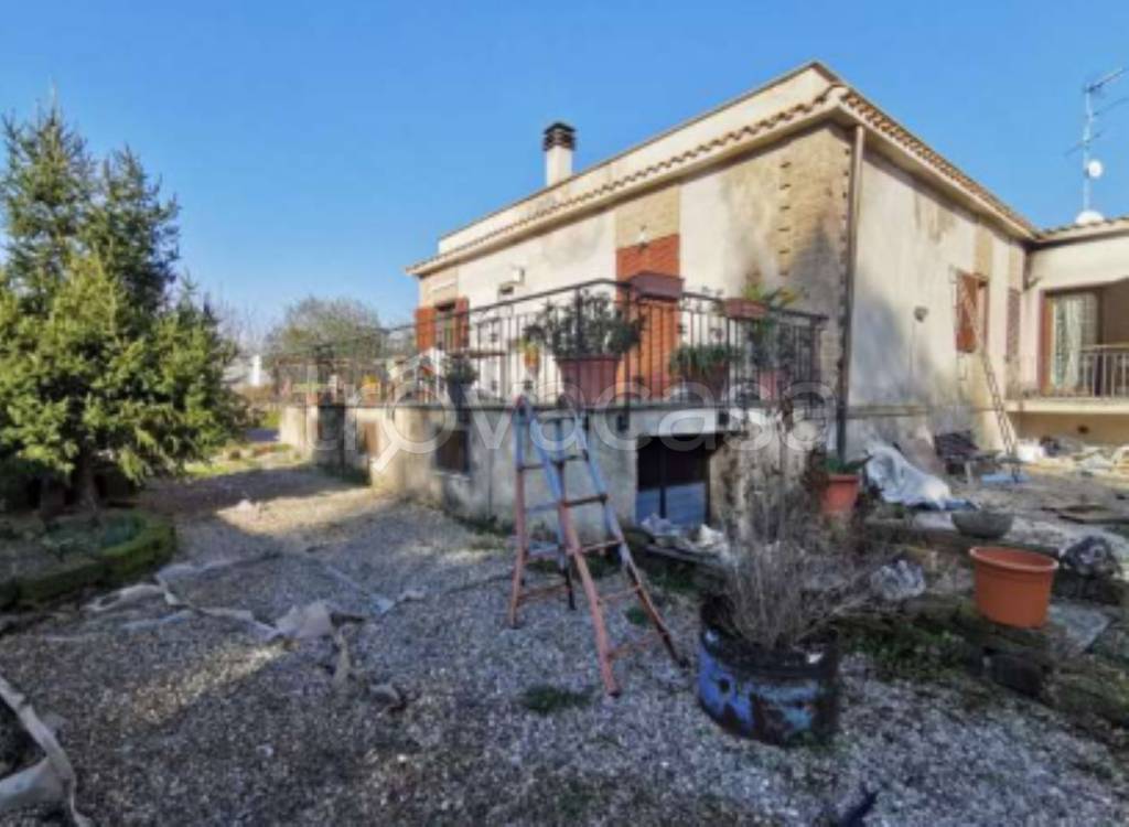 immagine annuncio 5 di 11