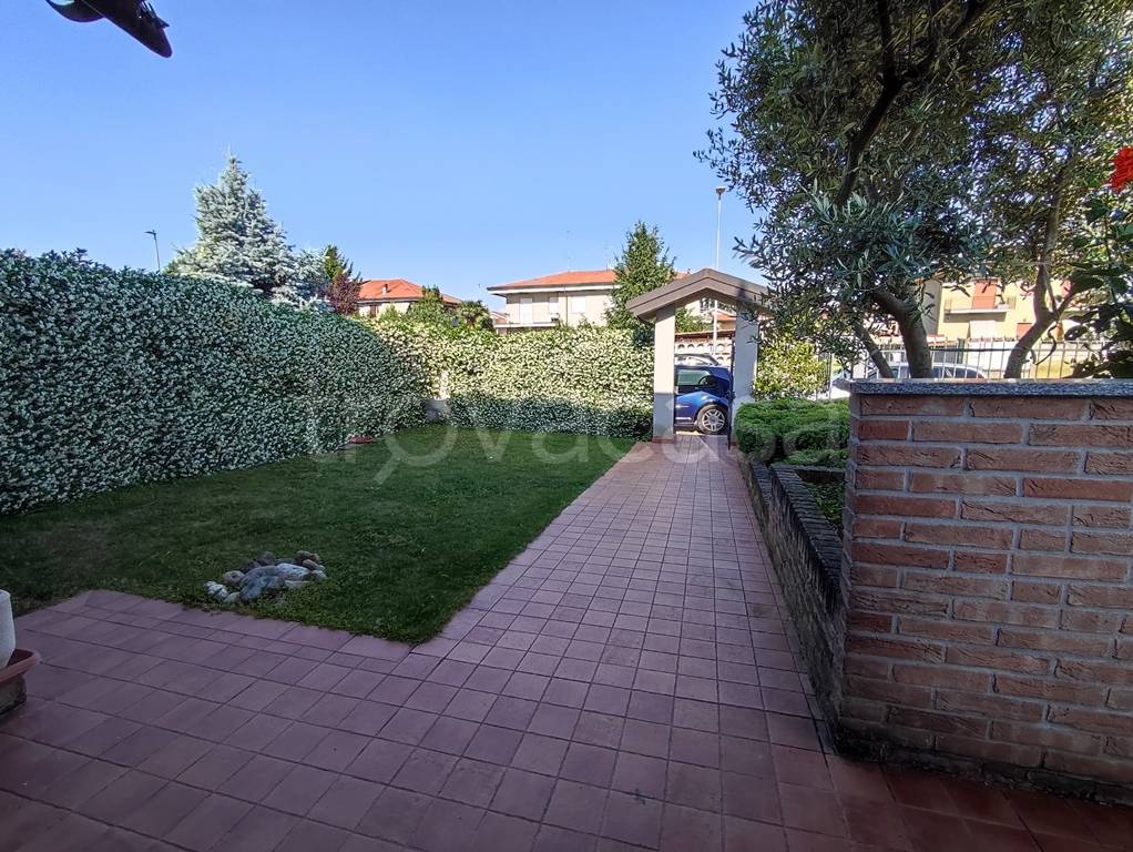 immagine annuncio 1 di 15