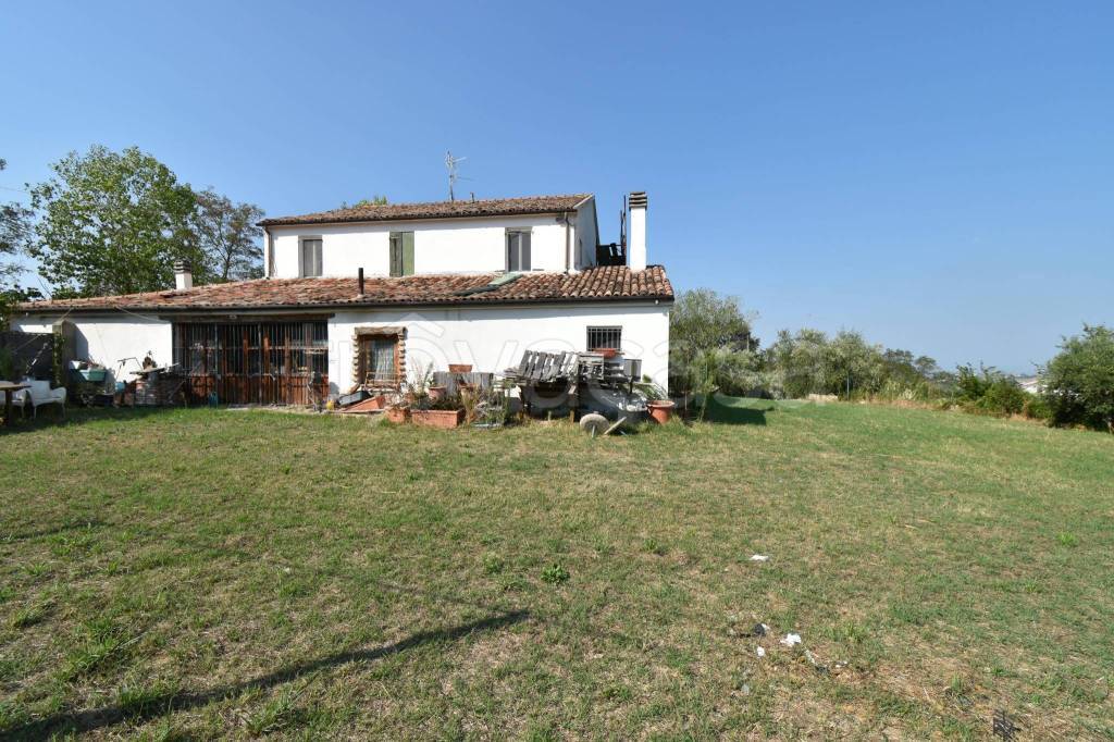 immagine annuncio 9 di 11