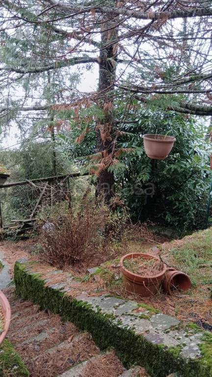 immagine annuncio 6 di 8
