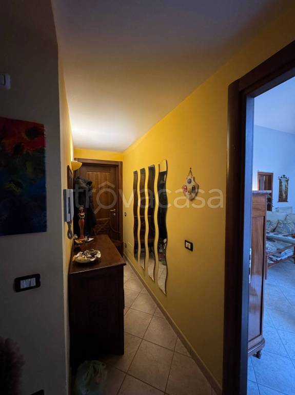 immagine annuncio 13 di 14