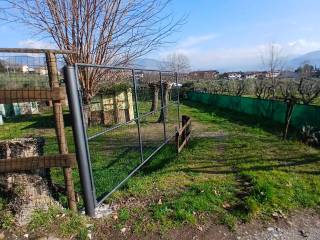 Terreno agricolo in affitto a corte franca via nazario sauro