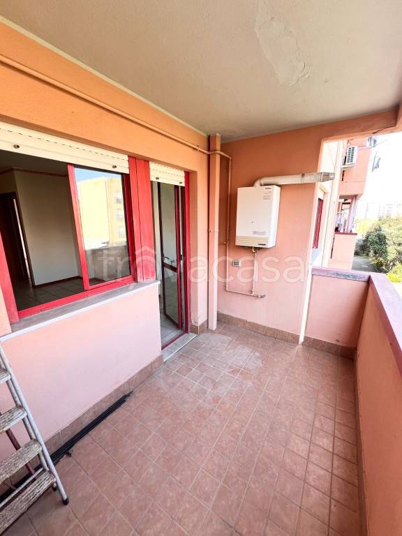 immagine annuncio 6 di 14