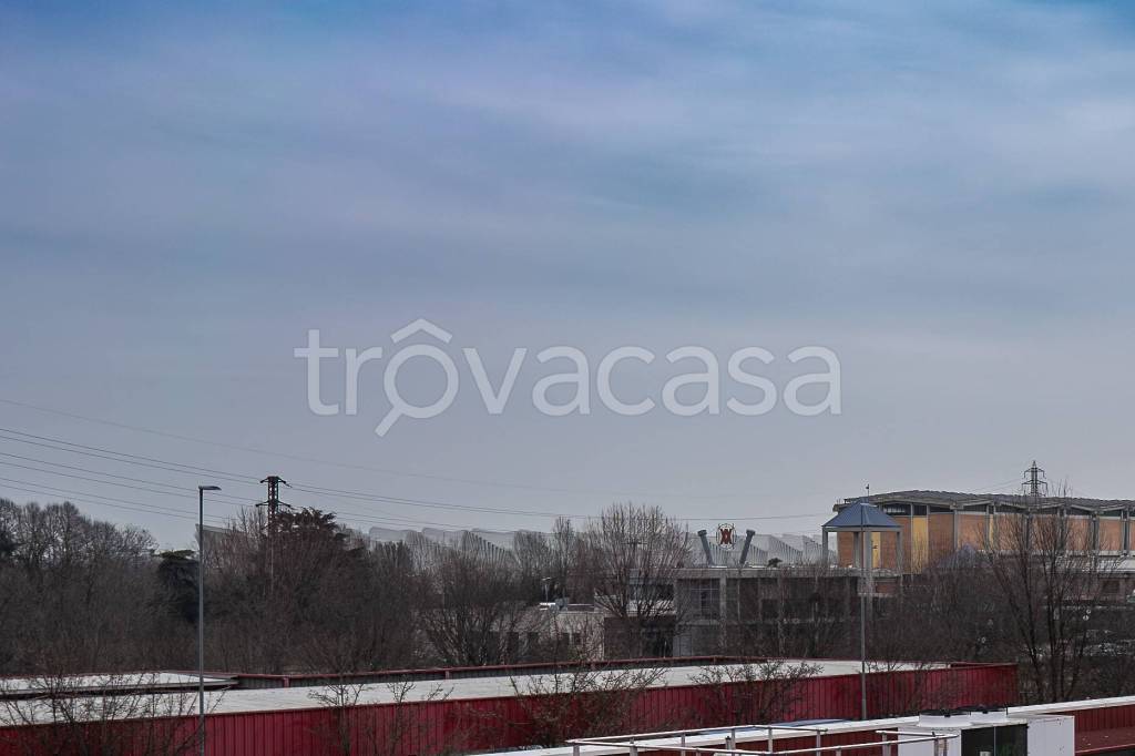 immagine annuncio 6 di 11