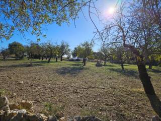 Terreno residenziale in vendita a noto ronco sgadari, 1