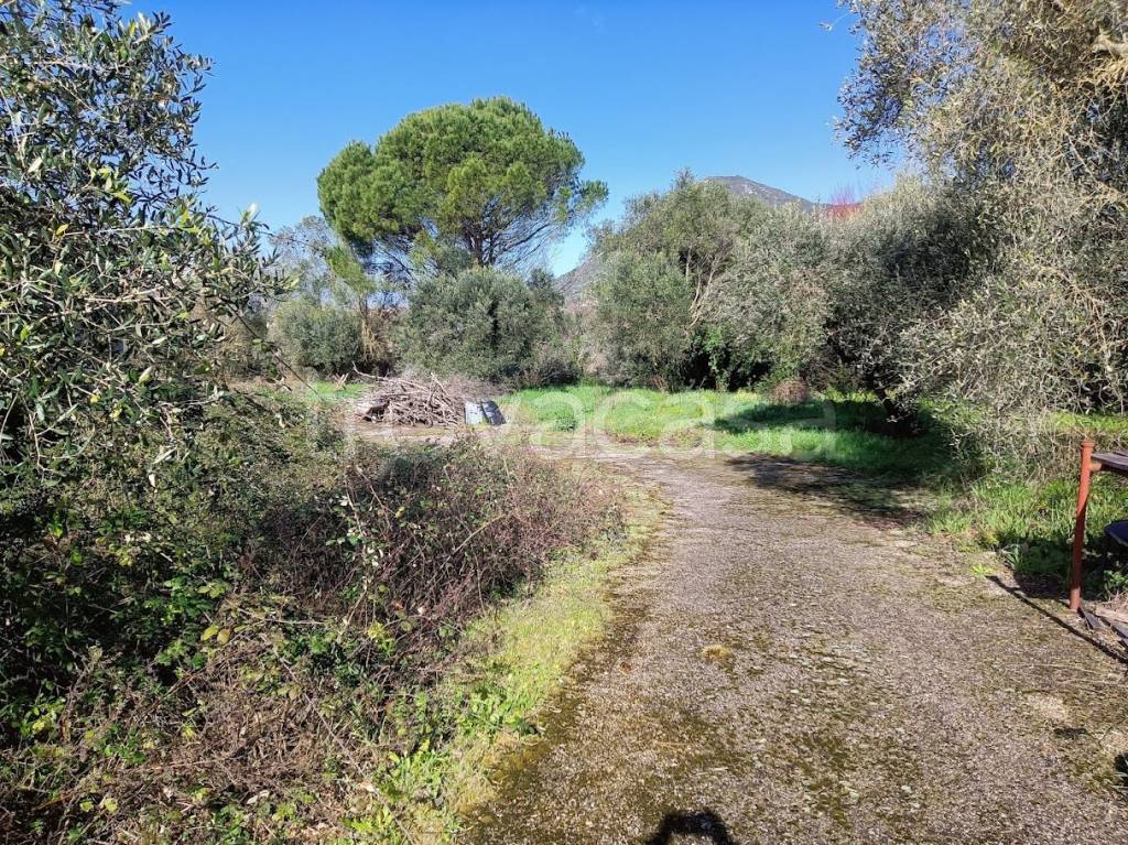 immagine annuncio 2 di 7