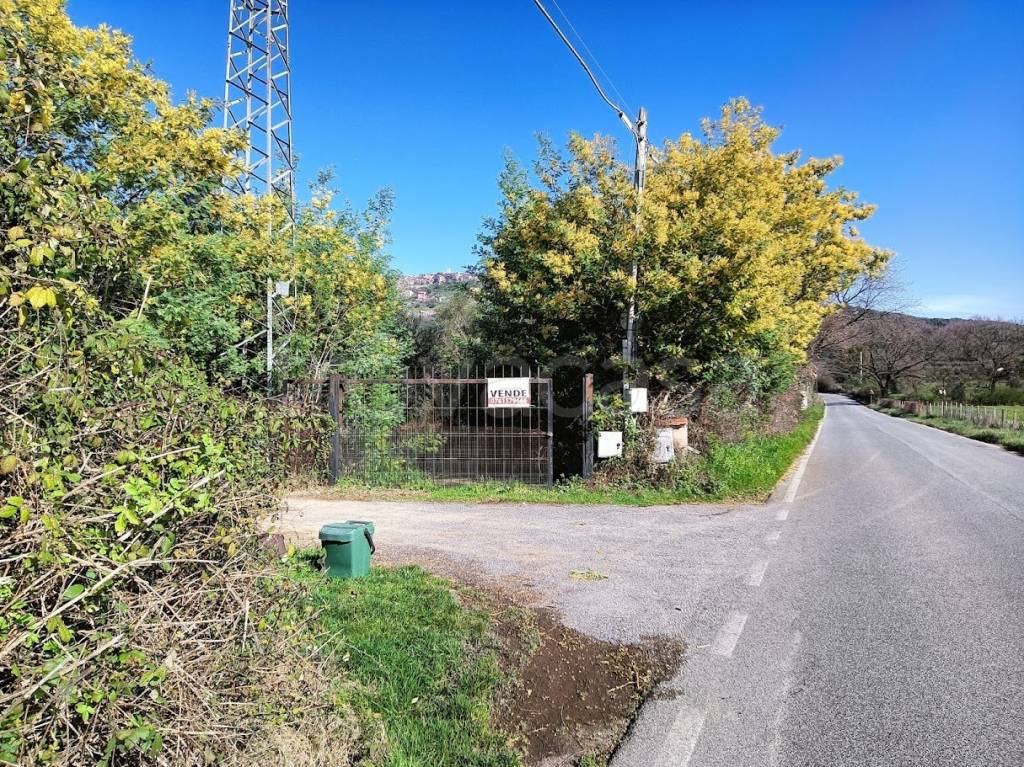 immagine annuncio 4 di 7