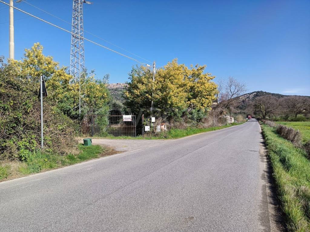 immagine annuncio 5 di 7