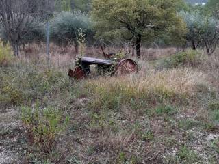 Terreno agricolo in vendita a terni giuncano s.n.c.