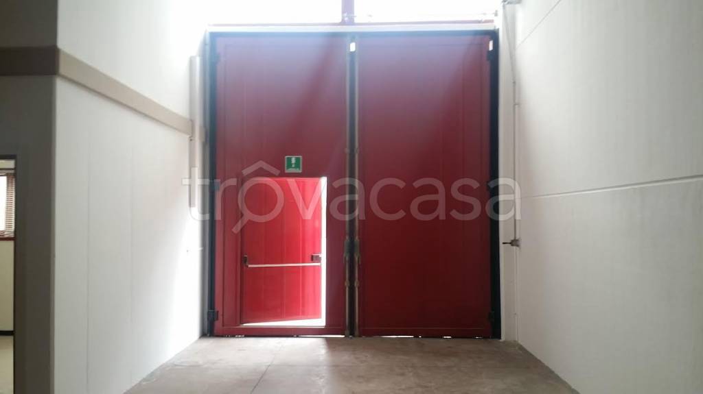 immagine annuncio 4 di 6