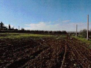 Terreno agricolo all'asta a viterbo sr2