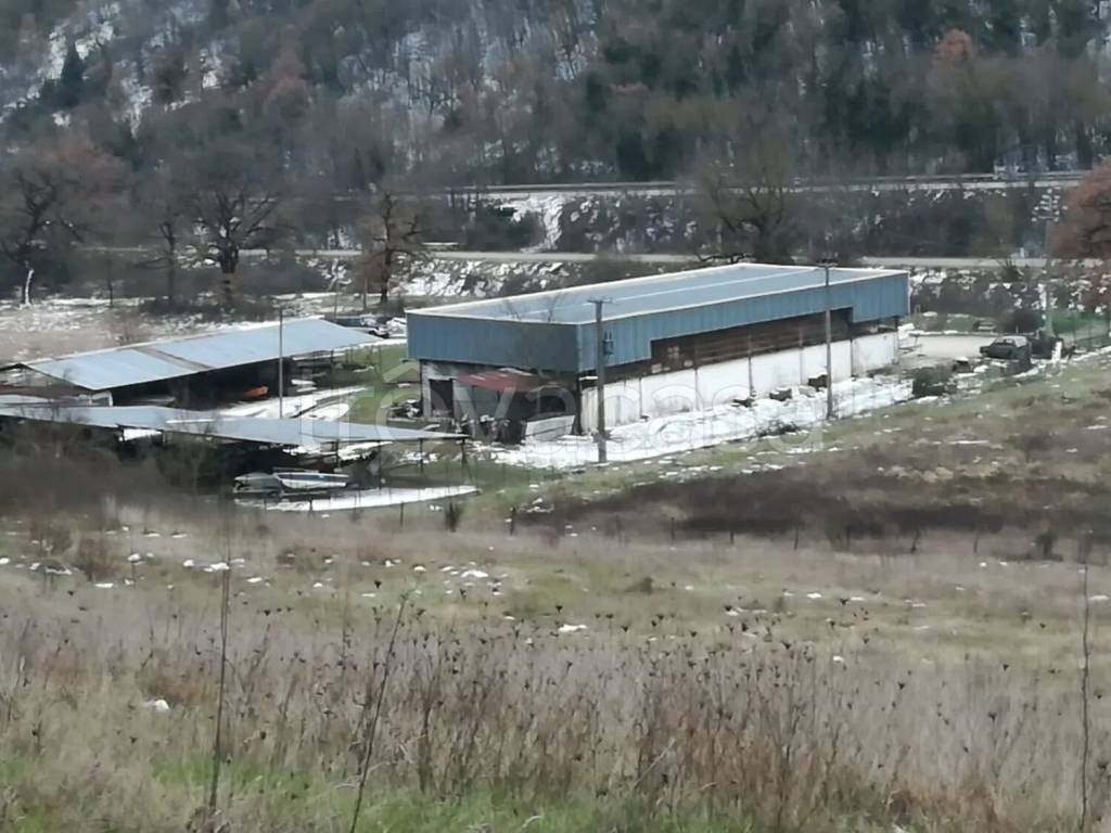 immagine annuncio 2 di 3
