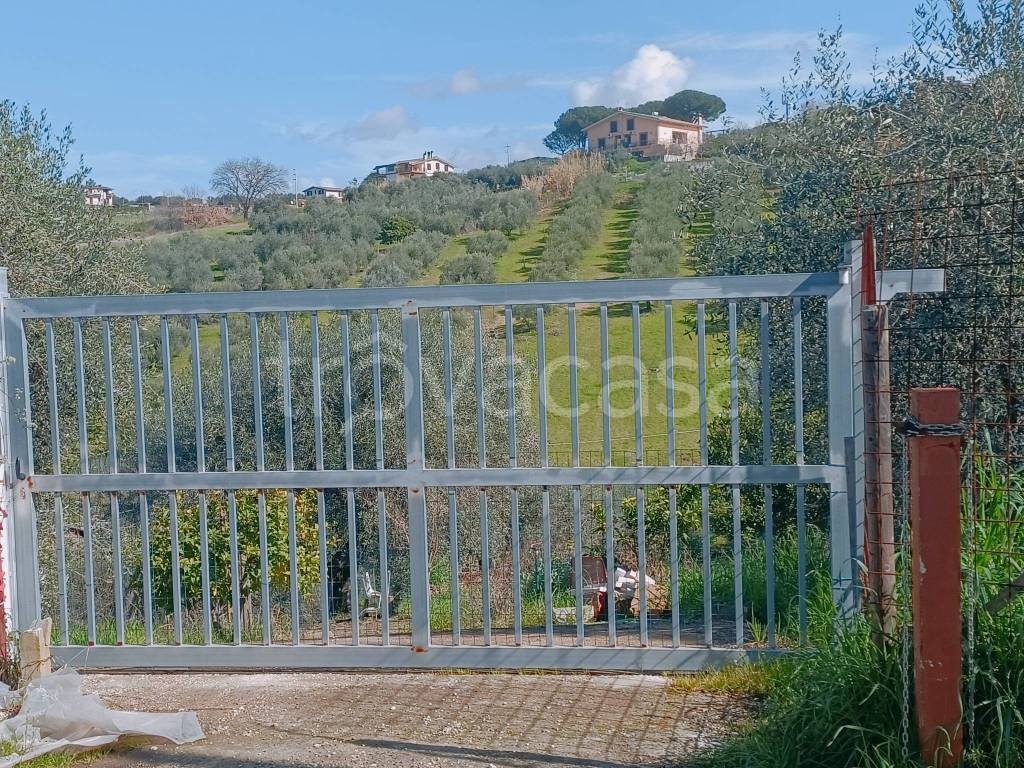 immagine annuncio 5 di 12