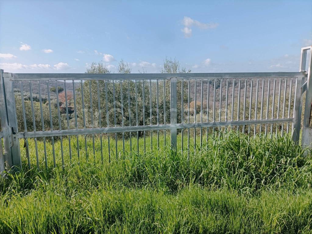 immagine annuncio 8 di 12