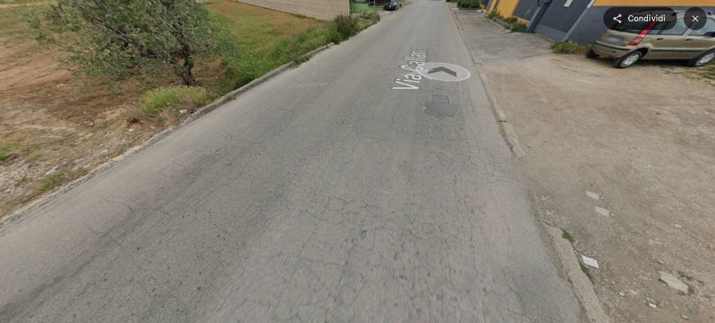 immagine annuncio 12 di 14