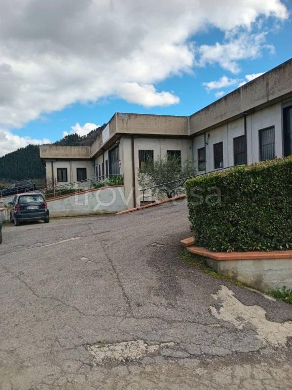 immagine annuncio 2 di 3