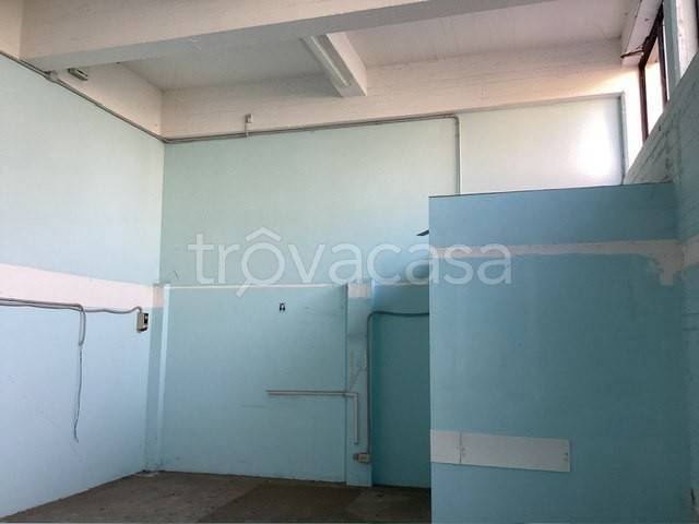 immagine annuncio 5 di 6