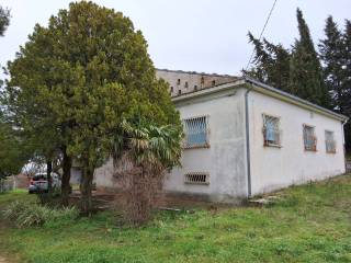 Masseria in in vendita da privato a larino contrada monte, 31