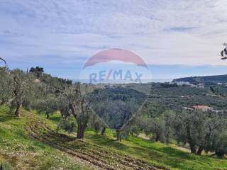 Terreno agricolo in vendita a vieste località grotta spagnola