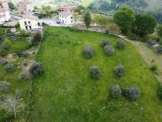 Terreno agricolo in vendita a montecarotto 