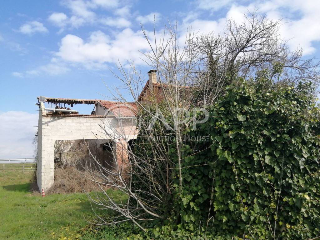 immagine annuncio 7 di 14