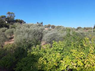 Terreno agricolo in vendita ad alghero strada vicinale brionis