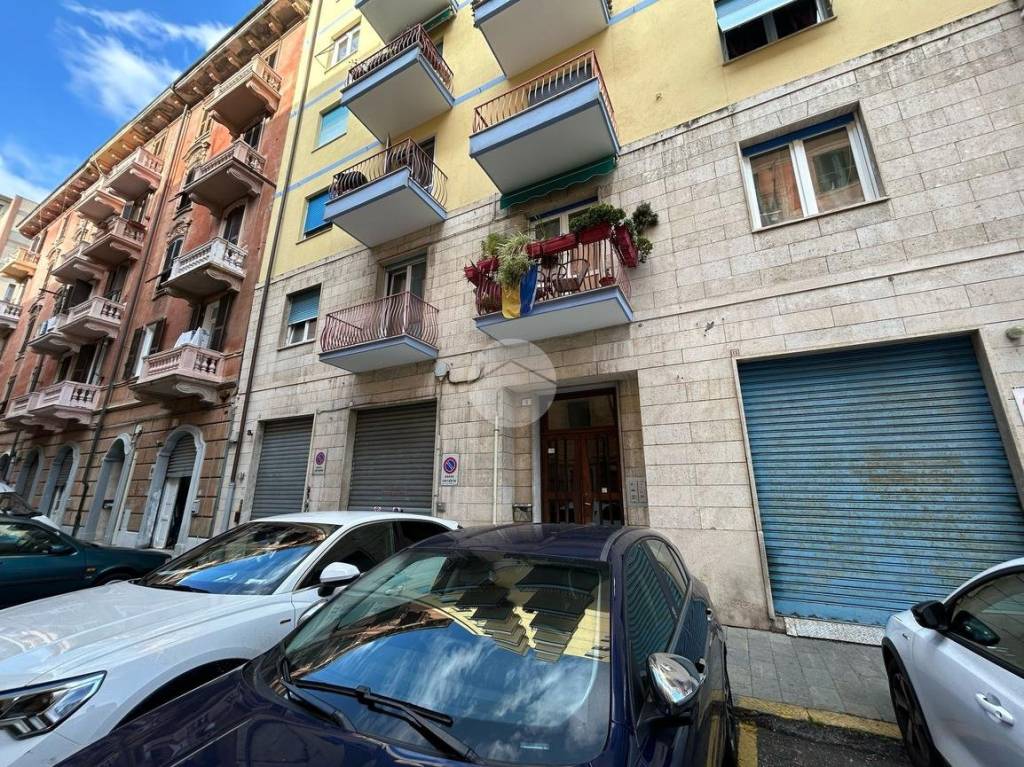immagine annuncio 2 di 6