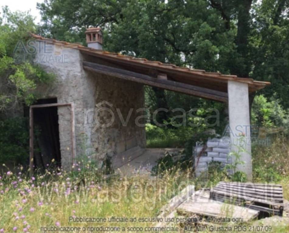 immagine annuncio 8 di 11