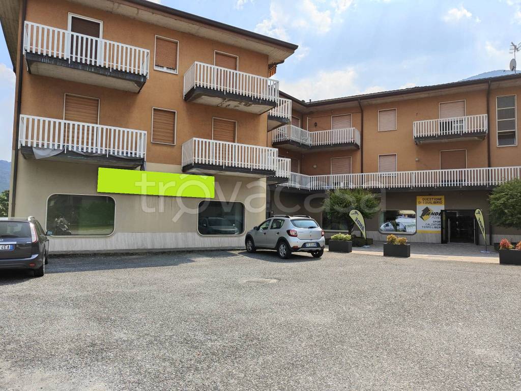 immagine annuncio 7 di 14