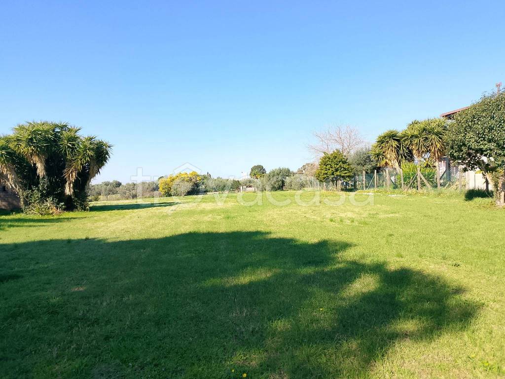 immagine annuncio 2 di 4